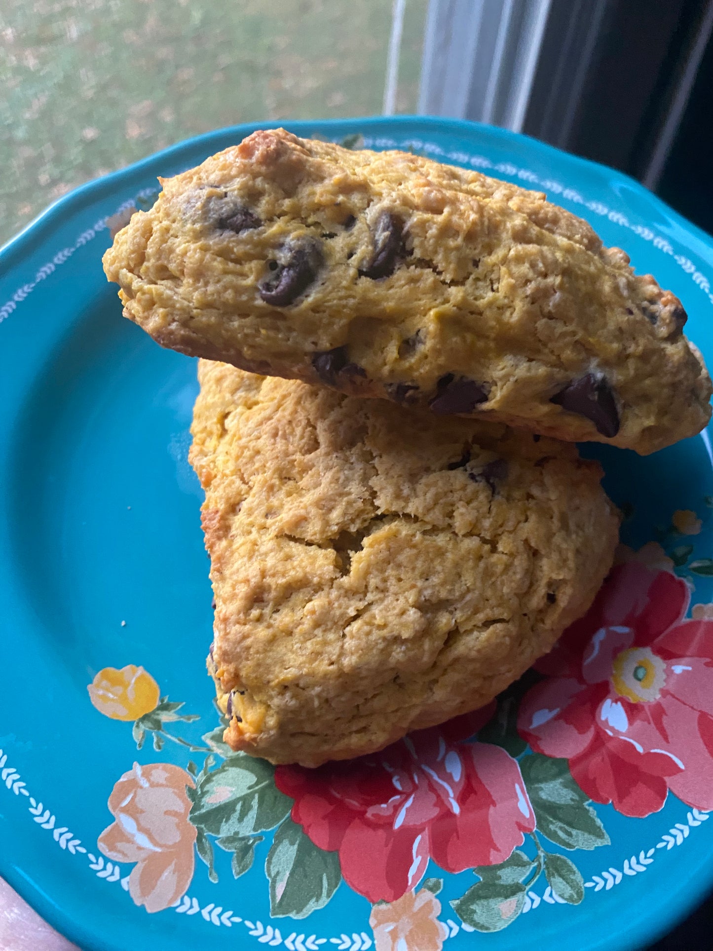 Pumpkin Chocolate Chip Scone (2-Pack)