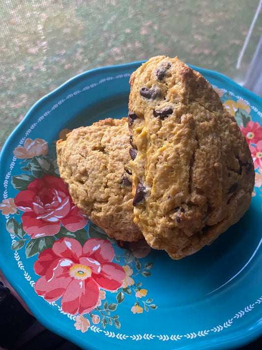 Pumpkin Chocolate Chip Scone (2-Pack)