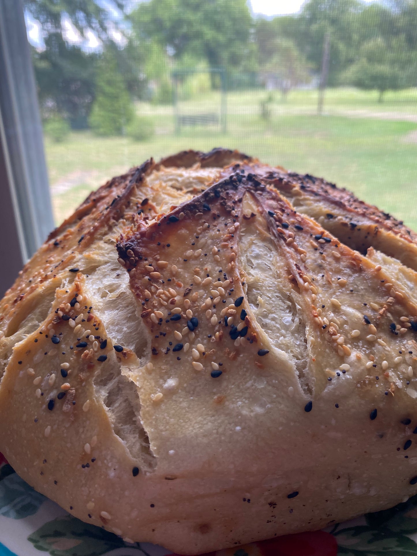 Everything Seasoning Sourdough Loaf