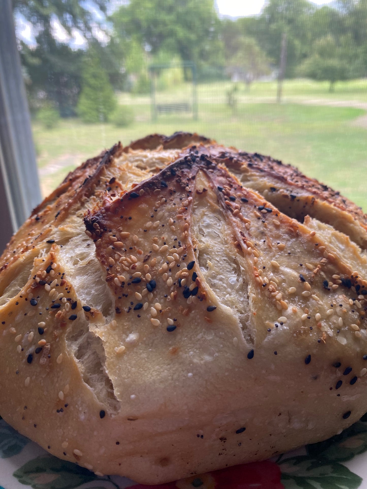 Everything Seasoning Sourdough Loaf