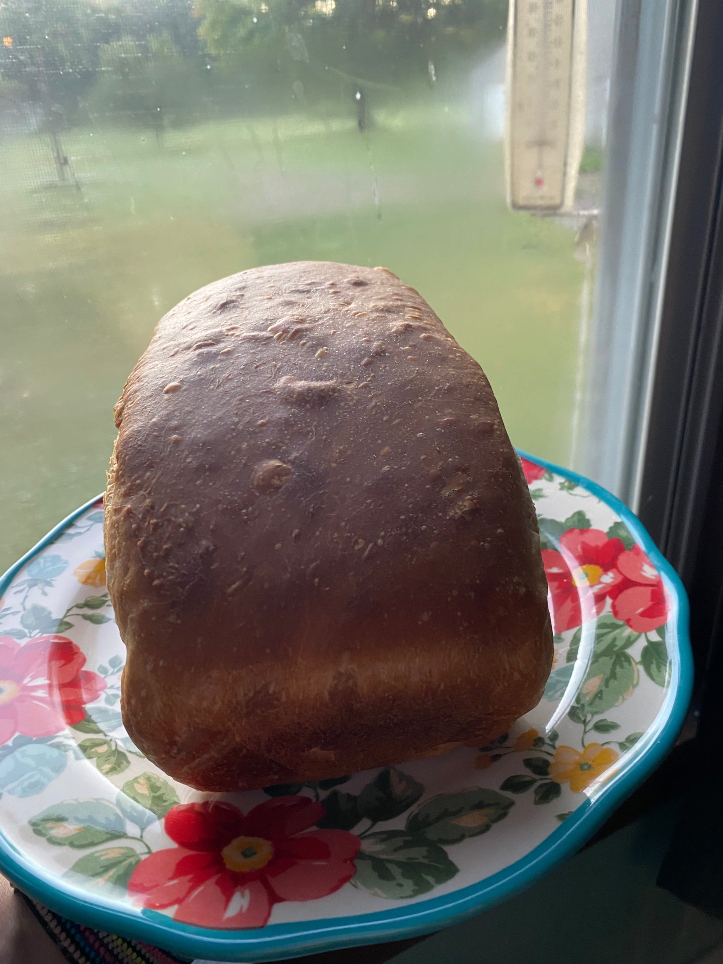 Sourdough Sandwich Bread